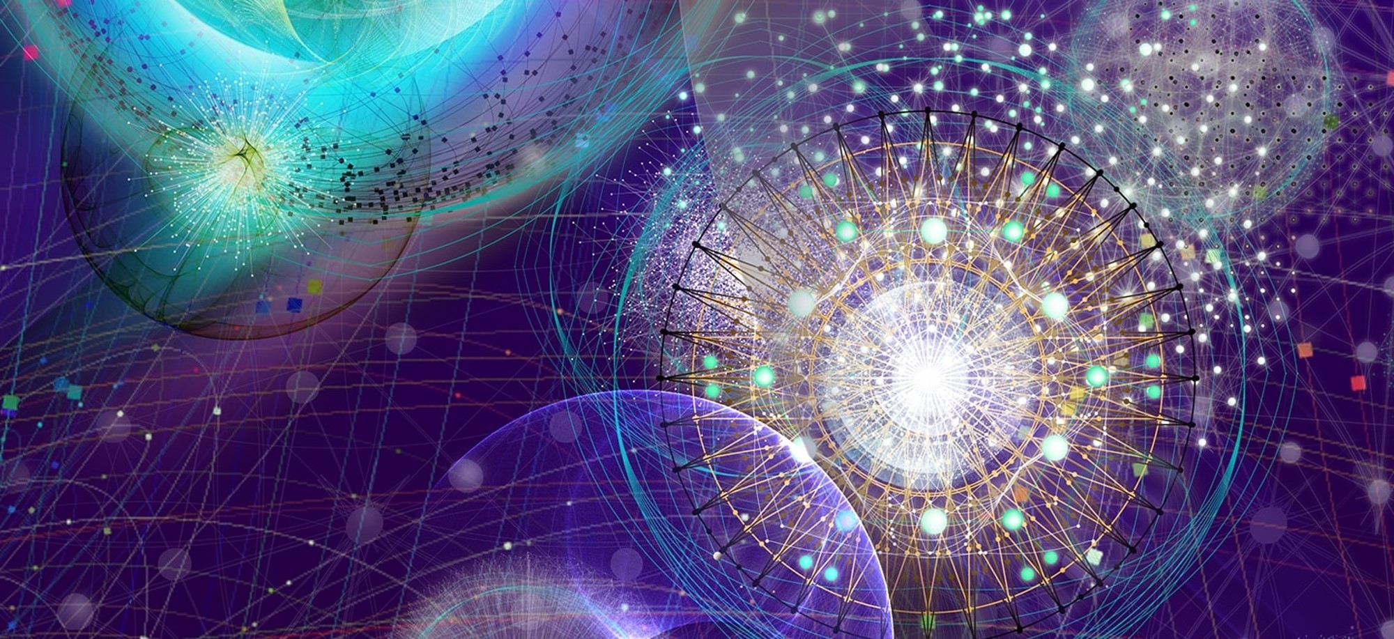 Organizational Ecology Theory