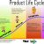 Product Life-Cycle Marketing Strategies