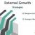 External Growth Strategies of the firm