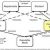 Creating a Common Language and Conceptual Categories