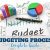 Sales Budgetary Procedure