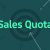 Driskill Manufacturing Company: Maintenance Equipment Manufacturer – Use of Sales Quotas