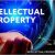 DRIPCATCH: The Key Role of Intellectual Property Early In a Firm’s Life and Its Ongoing Success