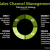 Sales Channel Management for Rural Markets