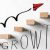 Growth strategies of the firm