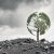 Culture Change Through Destruction and Rebirth