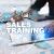 Deciding Sales Training Content