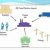 Plant Layout in Production and Operation Management