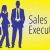 Compensation Patterns for Sales Executives