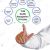 The Total Quality Approach Defined