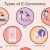 Types of E-commerce