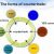 Forms of Countertrade