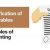 Classification of Receivables